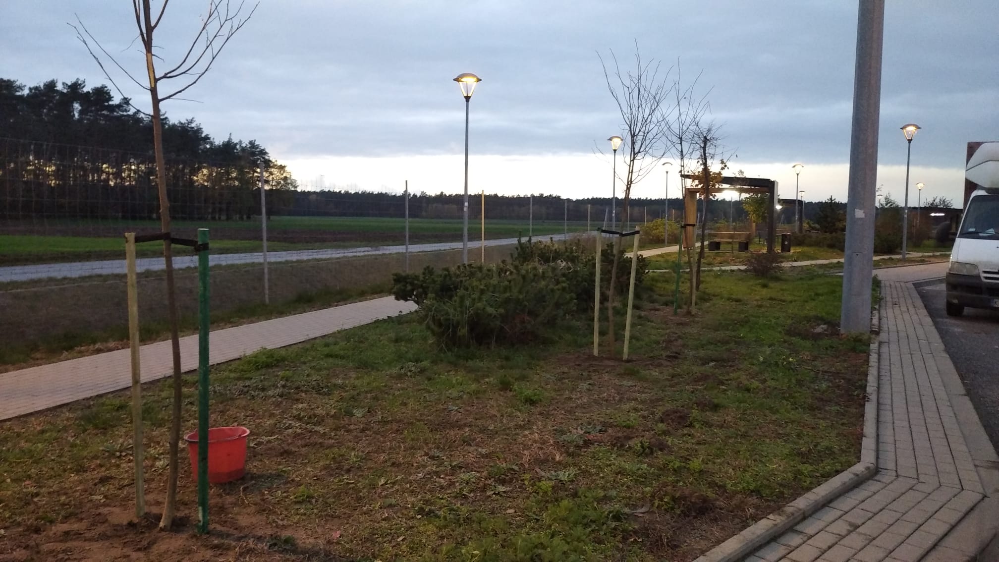 Nasadzenia przy drogach szybkiego ruchu