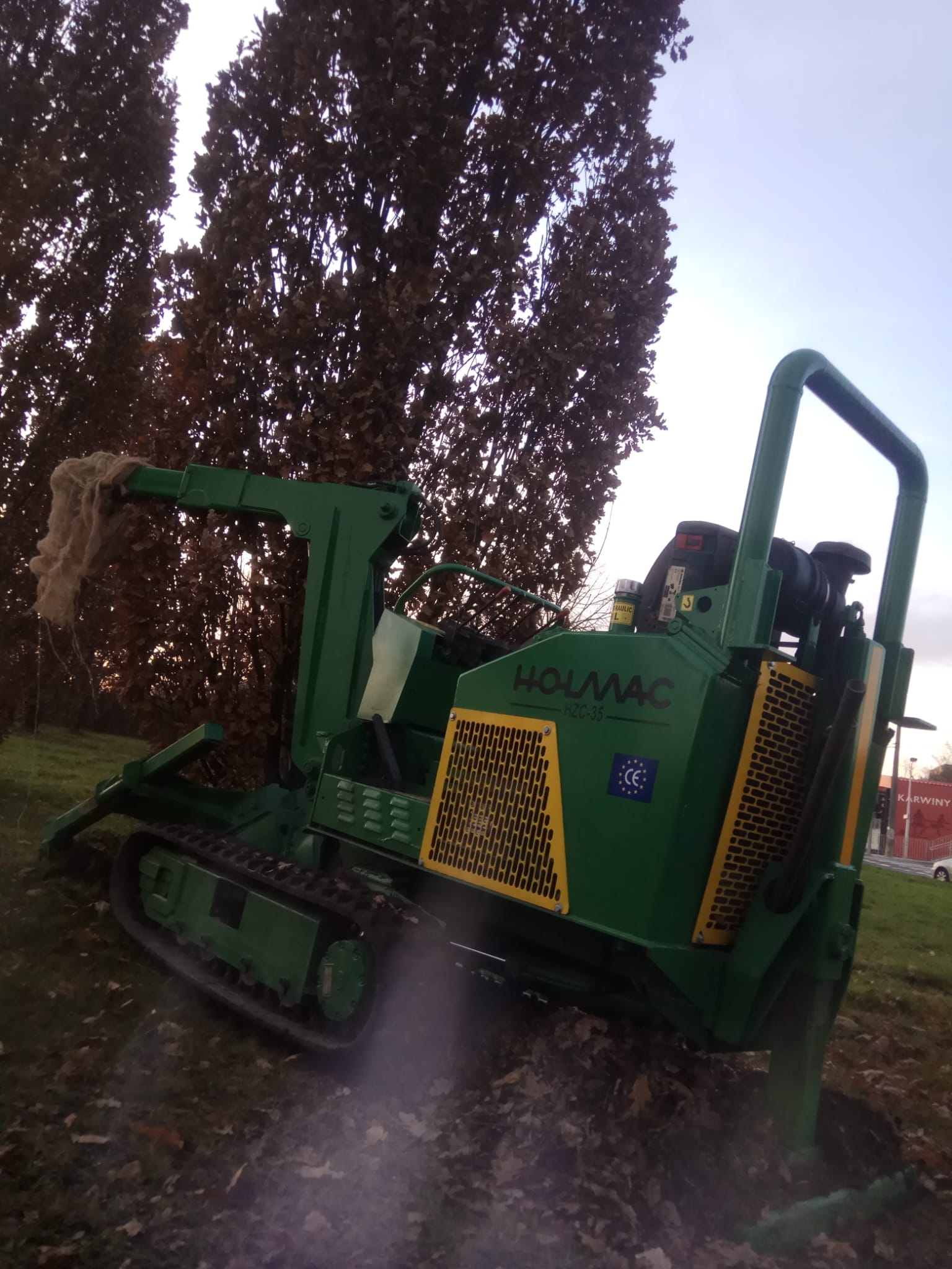 Gdynia przesadzanie 115 dębów