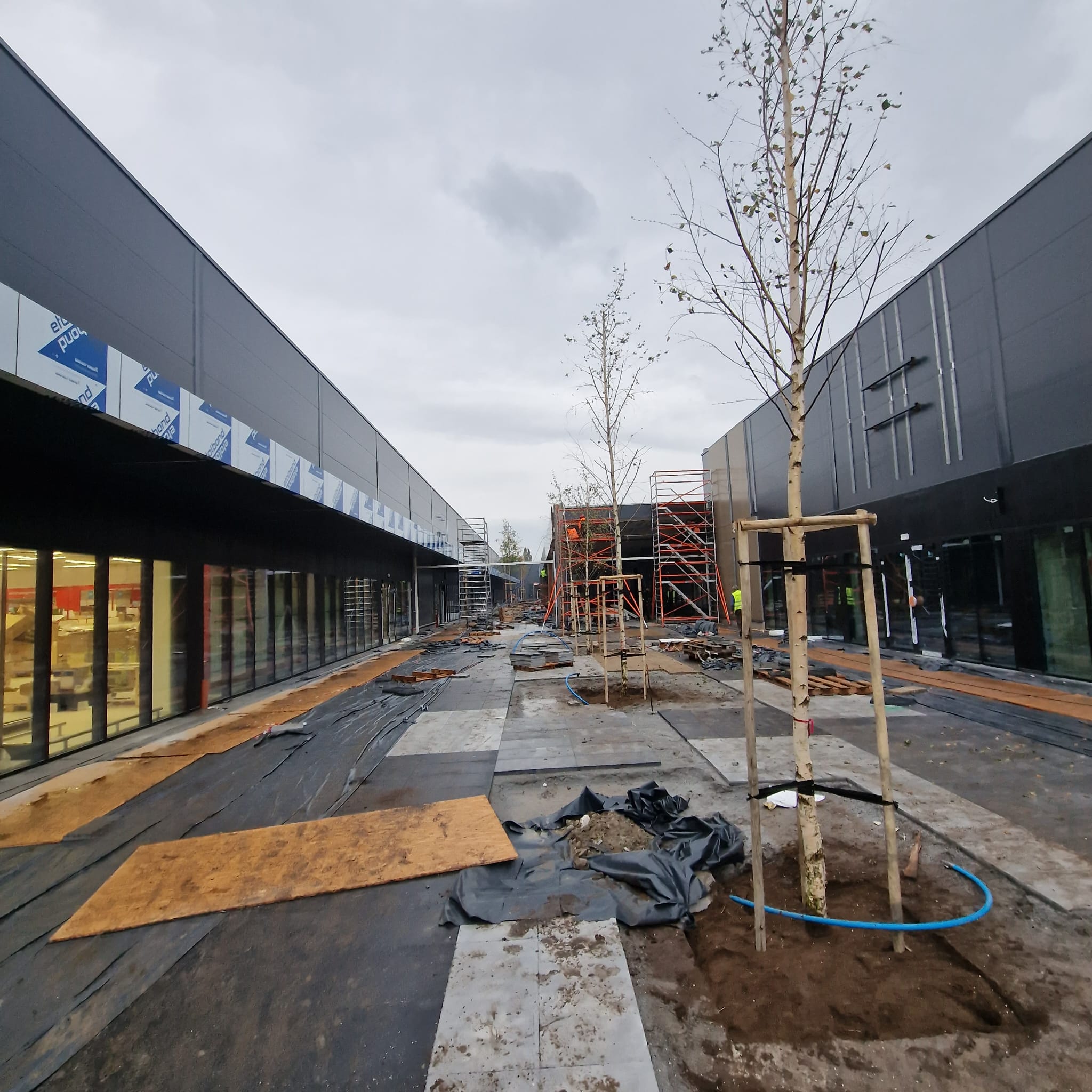 Galeria Perkuna Opole