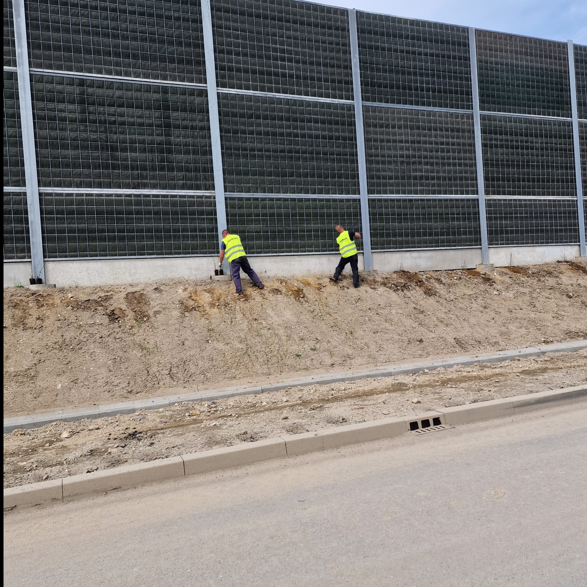 Obsadzanie ekranów pnączami łącznik A4